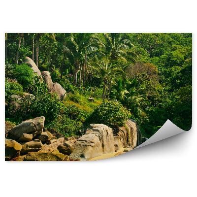 Fototapeta Mexiko pláž palmy skály příroda vegetace