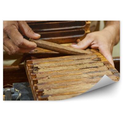 Fototapeta Továrna na výrobu doutníků