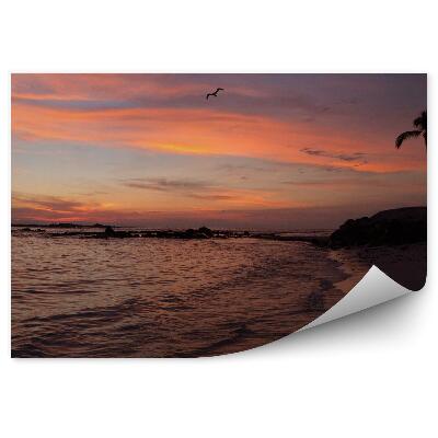 Fototapeta Západ slunce Antarktida laguna driftující ledovce