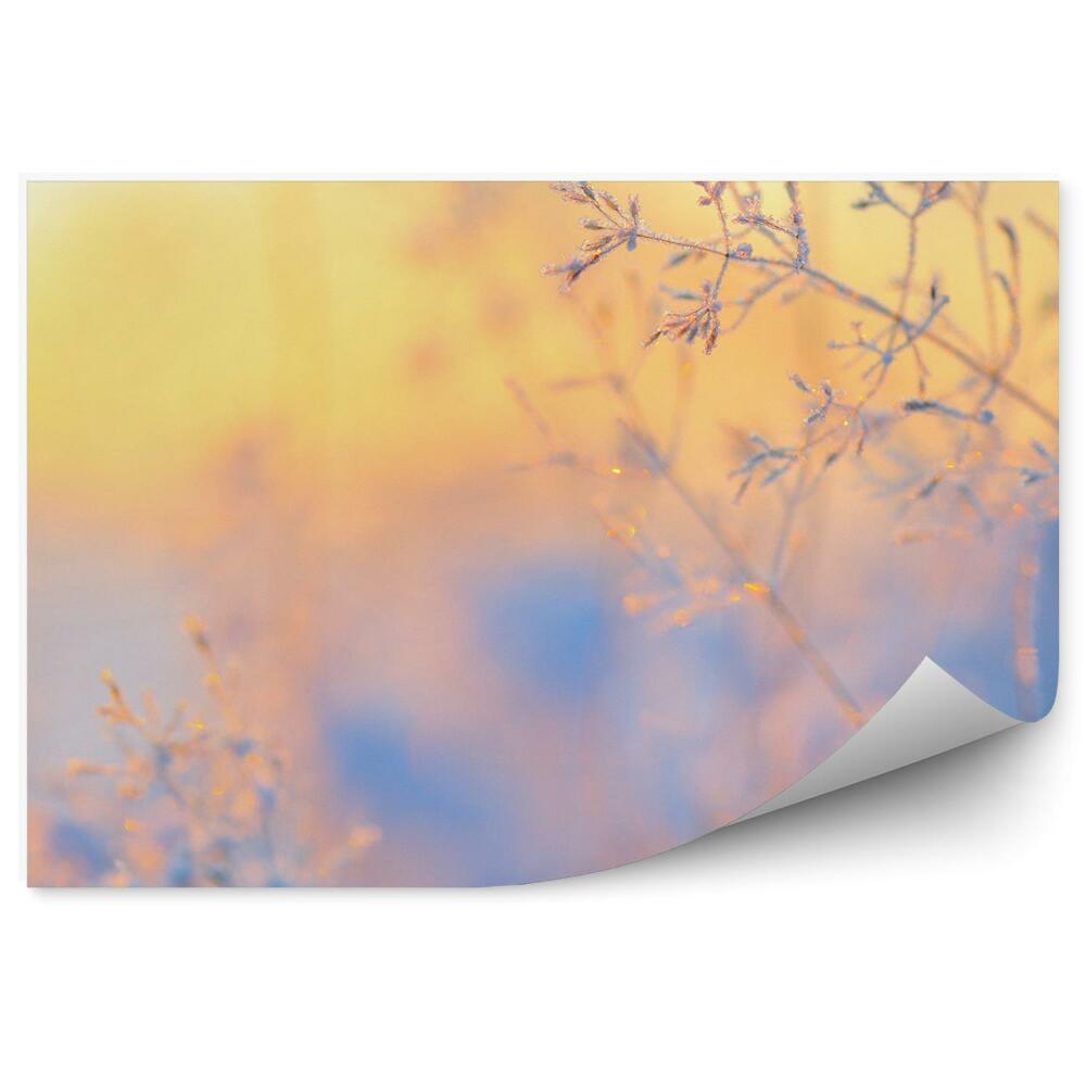 Fototapeta Ledové krystaly na zimní trávě