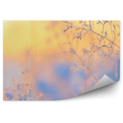 Fototapeta Ledové krystaly na zimní trávě