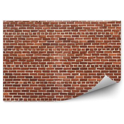 Fototapeta na zeď Cihlová zeď