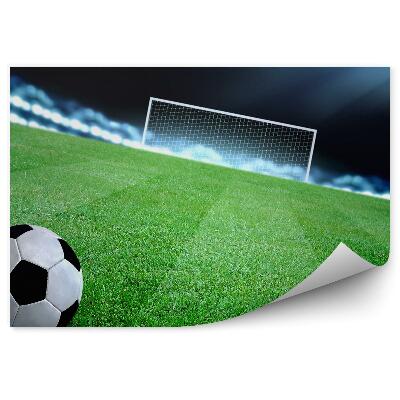 Samolepící fototapeta Fotbalové hřiště branka míč