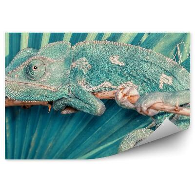 Samolepící fototapeta Chameleon na pozadí palmového listu