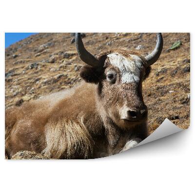 Fototapeta Jako Himálaj hory Nepál