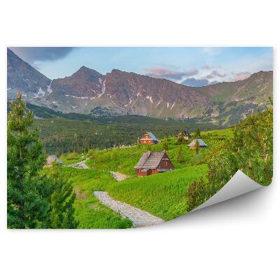 Fototapeta na zeď Panorama Zakopané hory sníh zima Giewontské domy