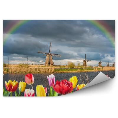 Samolepící fototapeta Kasuár Středozemní moře duha kouř