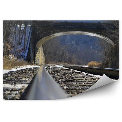 Fototapeta na zeď Železniční koleje most příroda les železnice