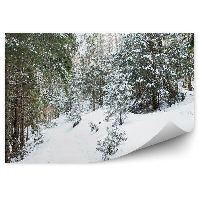 Fototapeta na zeď Cesta Zimním Lezem