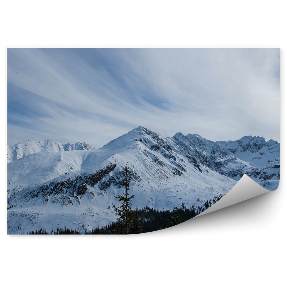 Tapeta Tatry Zakopané nebe mraky domy jehličnatá cesta