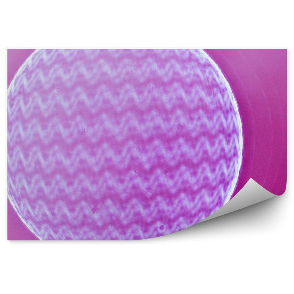 Fototapeta zeměkoule klikaté růže