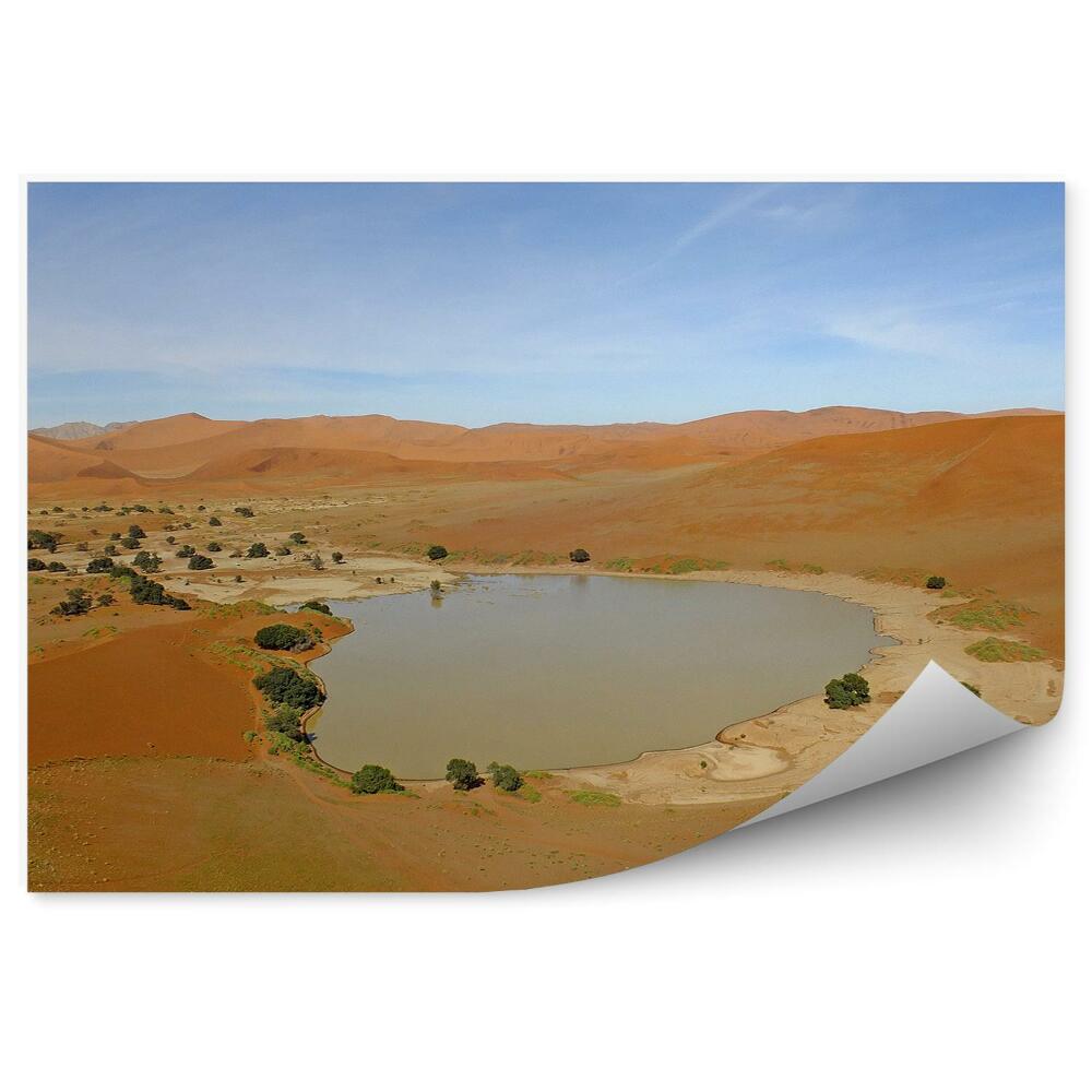 Fototapeta Afrika pouštní písek oáza