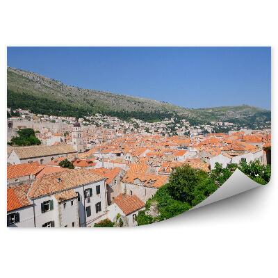 Samolepící fototapeta Příroda zelená domy architektura