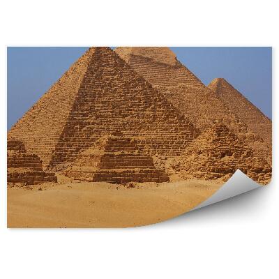 Fototapeta Egypt pyramidy architektura velbloudi