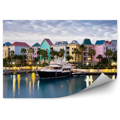 Fototapeta Barevné domy palmy příroda moře