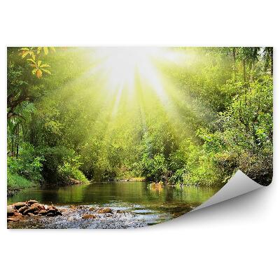 Fototapeta na zeď Les řeka příroda vegetace Thajsko