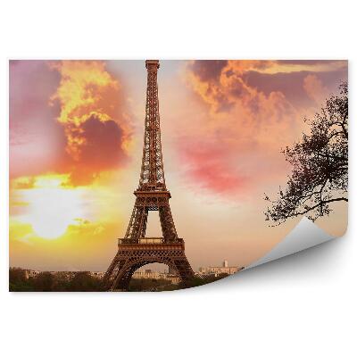 Fototapeta na zeď Paříž Eiffelova věž mrak park