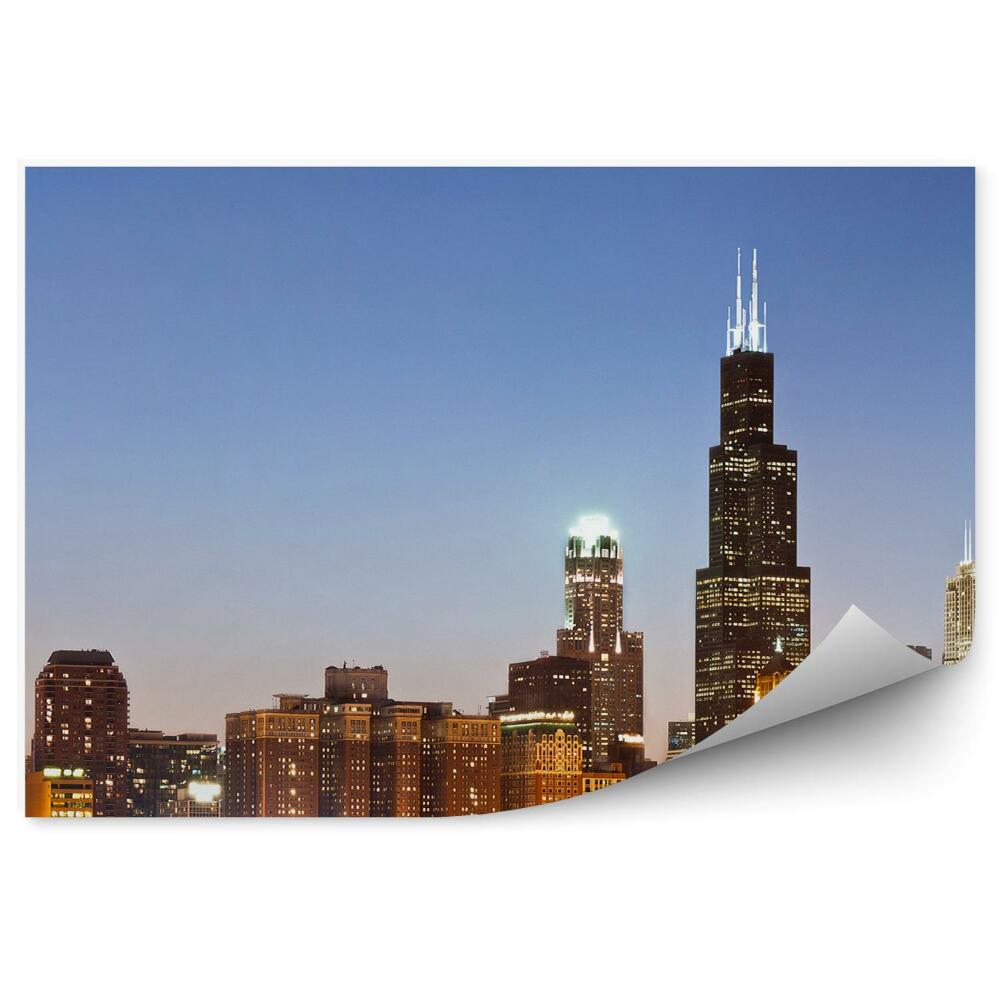Fototapeta na zeď Chicago mrakodrapy noční světla stromy řeka