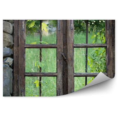 Fototapeta Kameny dřevěné okno tráva zeleň