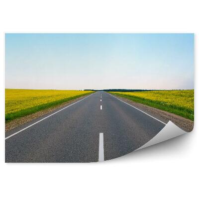 Fototapeta na zeď Pole kvetoucích žlutých květů silnice