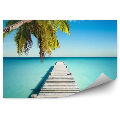 Fototapeta na zeď Kokosová pláž