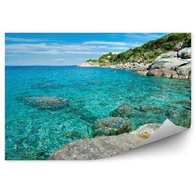 Fototapeta na zeď Elba ostrov pláž skály stromy příroda