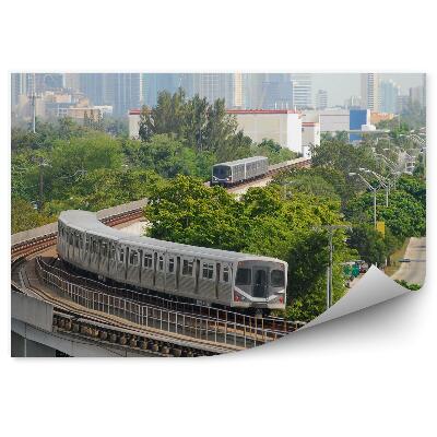 Fototapeta na zeď Budovy vlaky koleje město Miami doprava