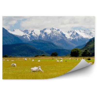 Fototapeta na zeď Ovce hory Alpy stromy rostliny sníh zima mraky nebe