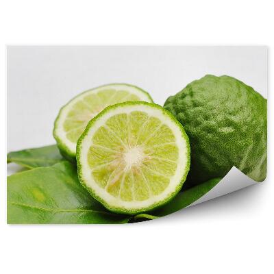Fototapeta na zeď Bergamot citrusy zelené listy bílé pozadí
