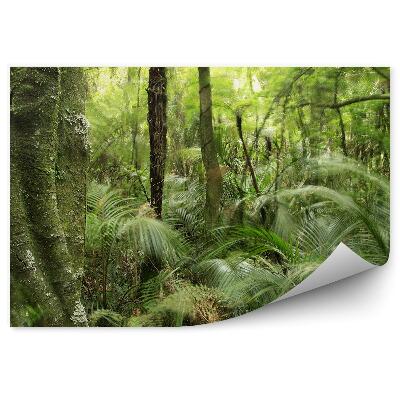 Samolepící fototapeta Listy stromů tropického lesa