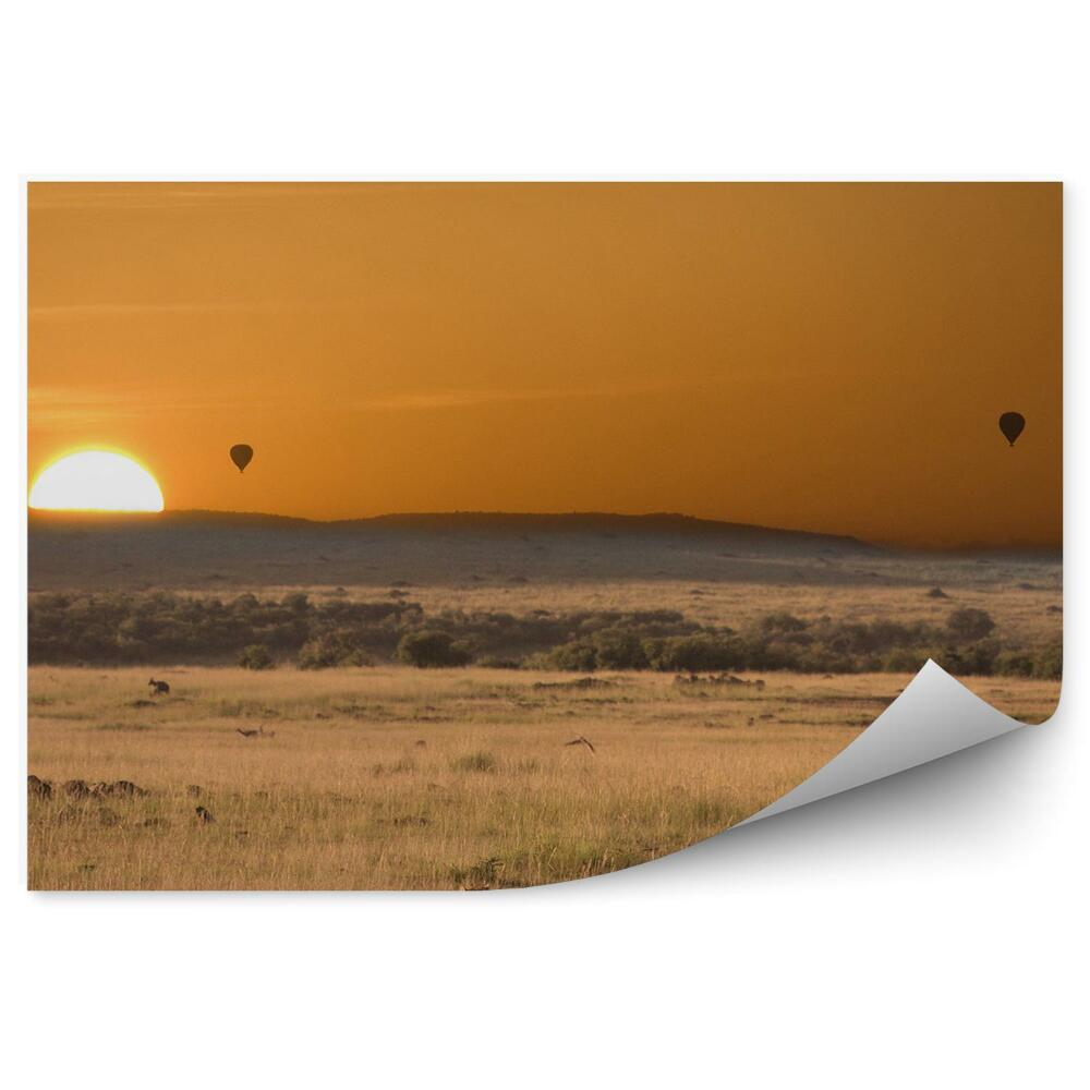 Fototapeta na zeď Gepard Afrika balóny slunce tráva