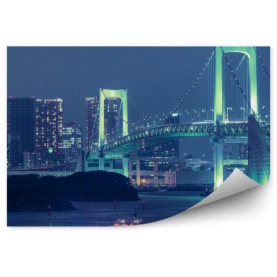 Fototapeta na zeď Osvětlený most lodě doprava město