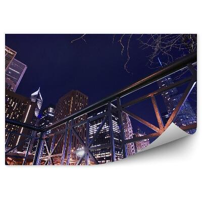 Fototapeta na zeď Chicago mrakodrapy světla noc oceán