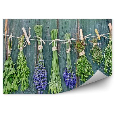 Fototapeta Čerstvé bylinky provázek kolíčky na prádlo dřevo