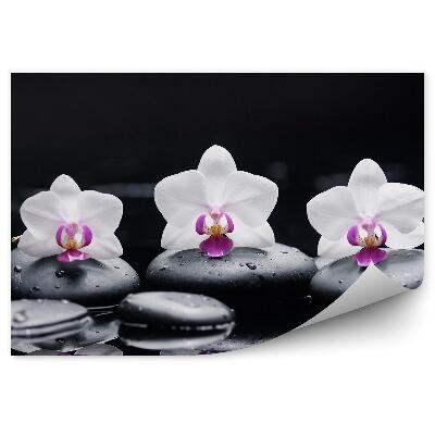 Fototapeta na zeď Bílé a růžové orchideje kameny vody