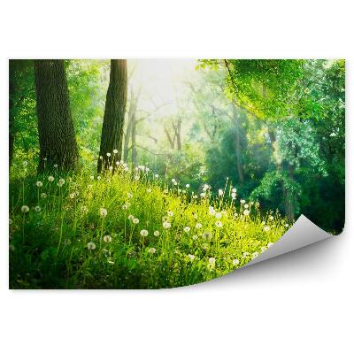 Samolepící fototapeta Jarní krásná krajina. Zelená tráva a stromy