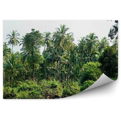 Samolepící fototapeta Palmy v jezeře džungle