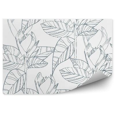 Fototapeta Květinová textura