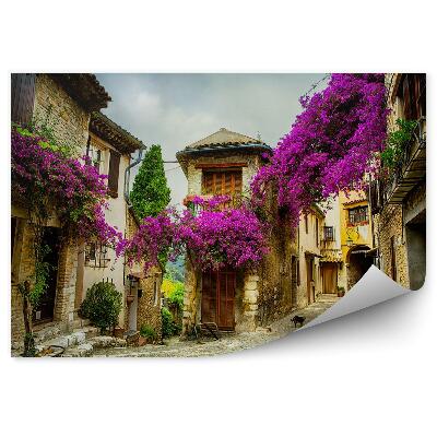 Fototapeta Krásné staré město v Provence