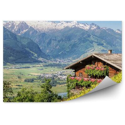 Samolepící fototapeta Alpy louka stromy hory domy sníh nebe květiny