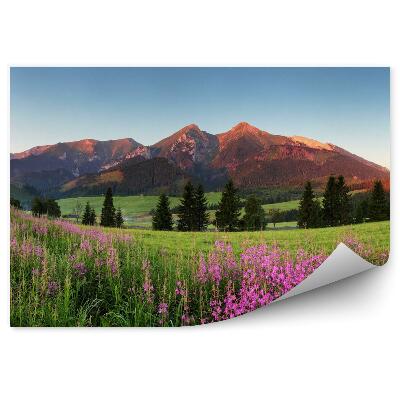 Fototapeta Krásné panorama hor na Slovensku