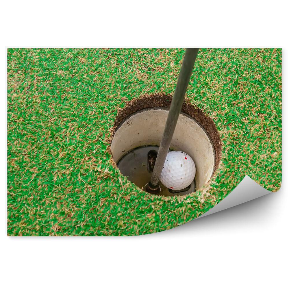 Fototapeta na zeď Díra golfový míček tráva klub