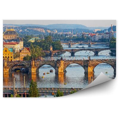 Fototapeta na zeď Vltava pohled z ptačí perspektivy mosty turisté