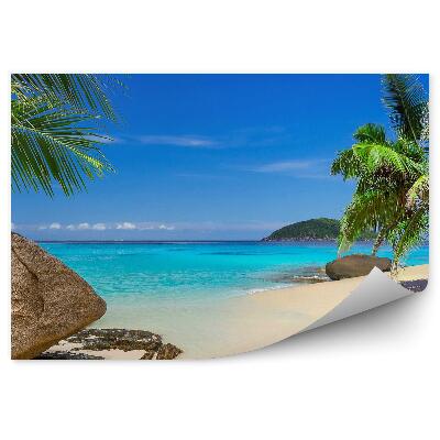 Fototapeta Tropická pláž skály palmy písek