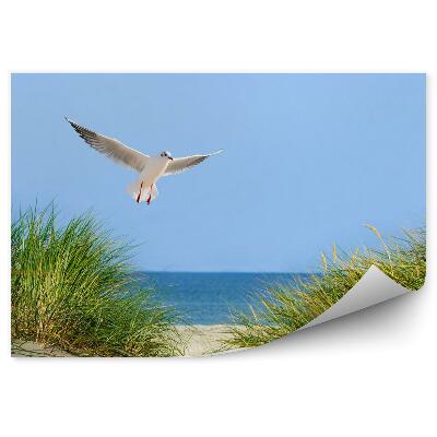 Fototapeta na zeď Odkryté duny moře a racek