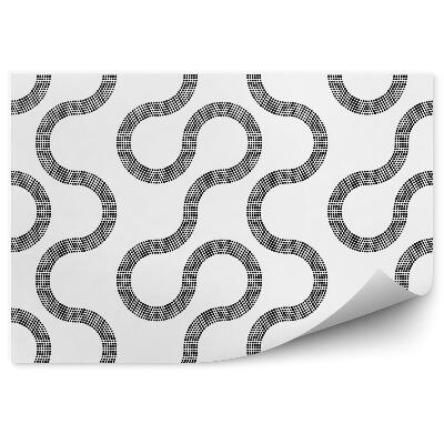 Fototapeta Moderní černobílý vzor