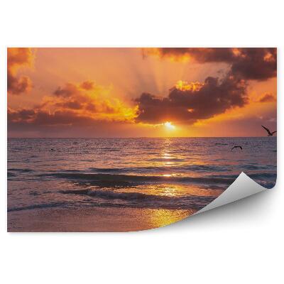 Fototapeta na zeď Západ slunce