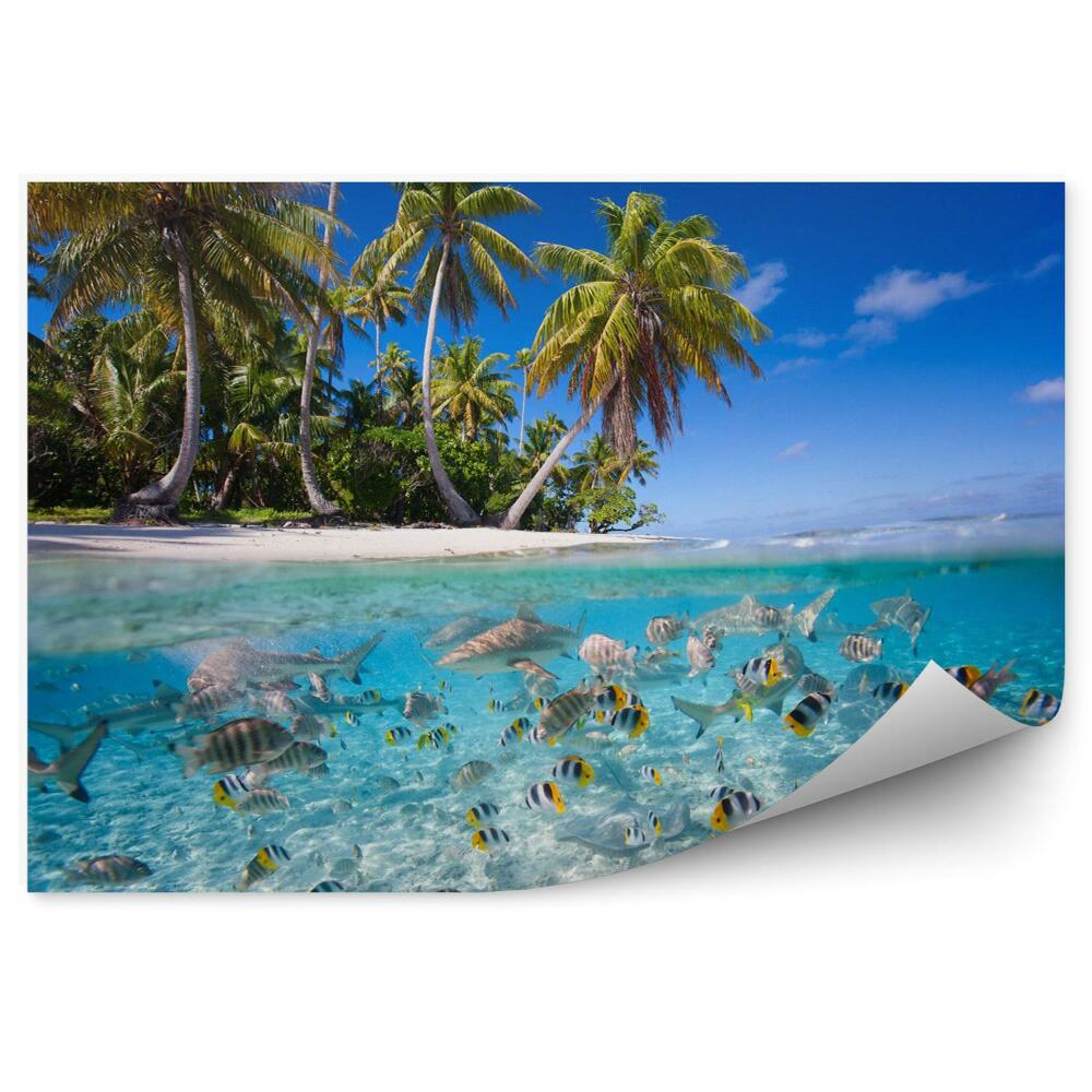 Fototapeta na zeď Tropický ostrov