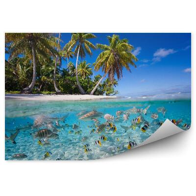 Fototapeta na zeď Tropický ostrov