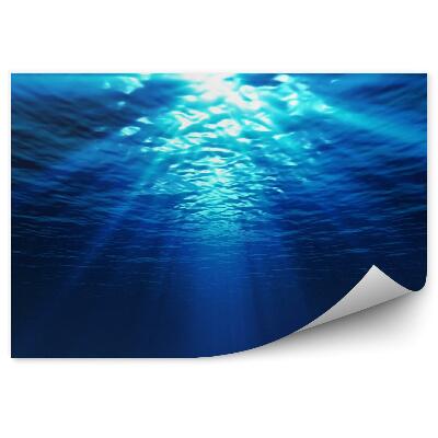 Samolepící fototapeta Pohled pod vodu z písečného mořského dna